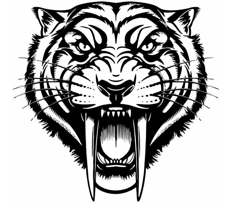 Тигр морда