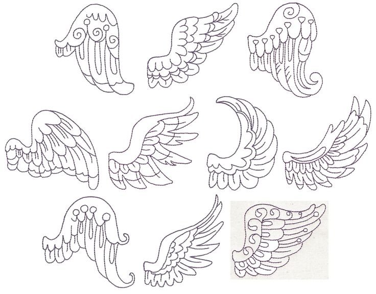 Макет крыльев