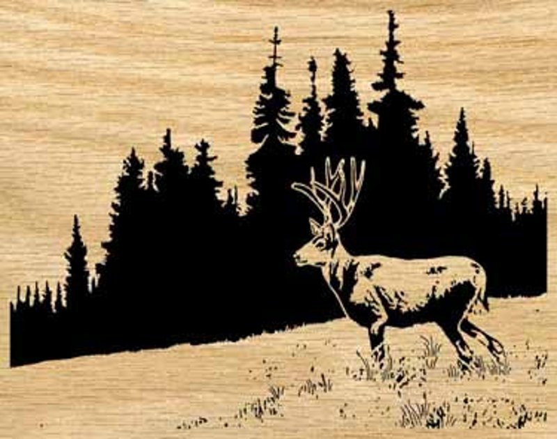 Выжигание по дереву природа