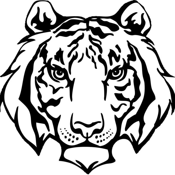 Тигр векторный