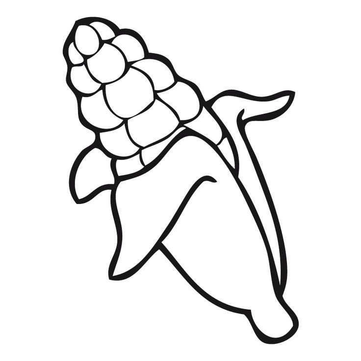 Кукуруза раскраска для детей