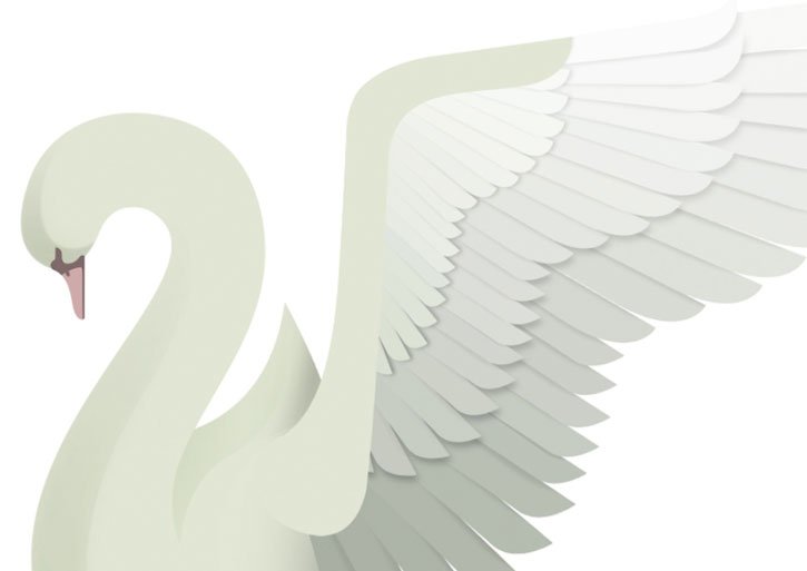 Крылья лебедя
