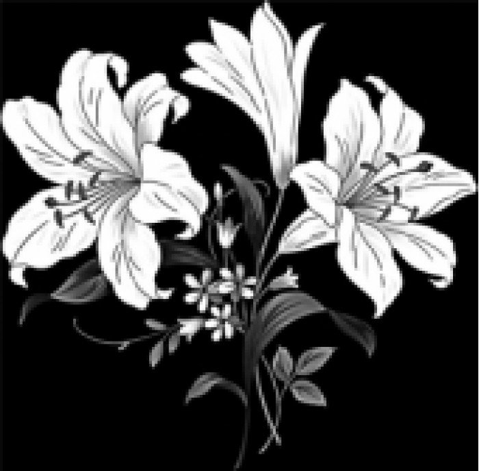 Цветы для гравировки