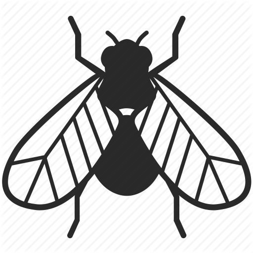 Муха черно белая