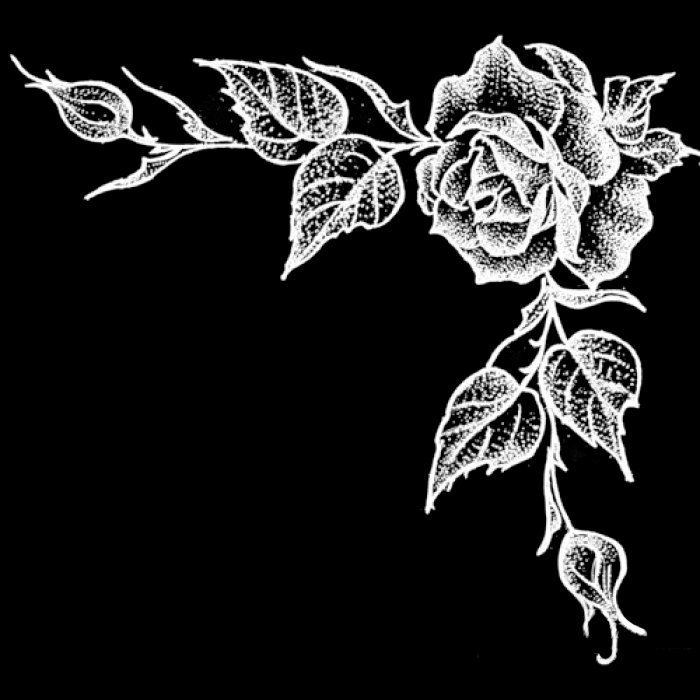 Розы на памятник для гравировки