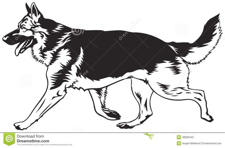 Овчарка для вырезания