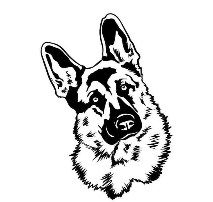 Тату немецкая овчарка