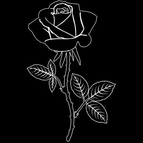 Розы для гравировки на мраморе