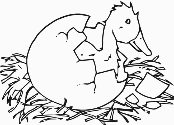 Гадкий утенок картинки раскраски