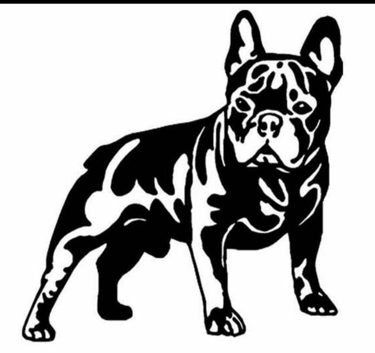 Французский бульдог силуэт