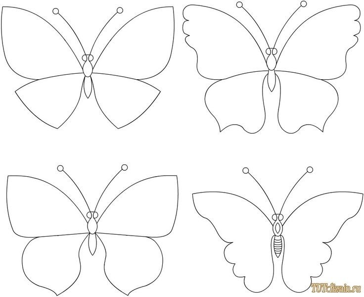 Шаблон бабочки