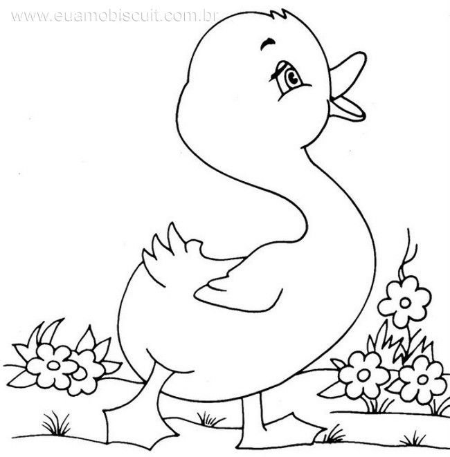 Утки раскраска для детей