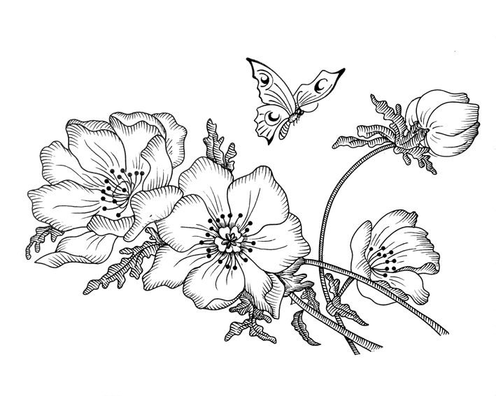 Цветы рисунок
