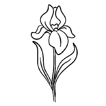 Трафарет "ирисы"