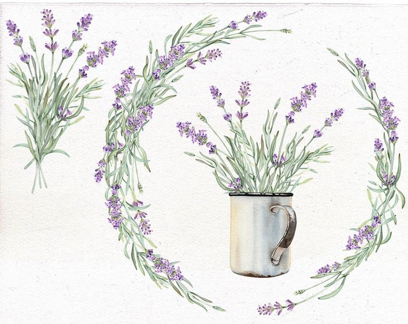 Прованс скетчинг поля лаванды