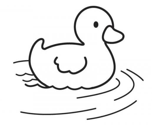 Утенок раскраска для малышей
