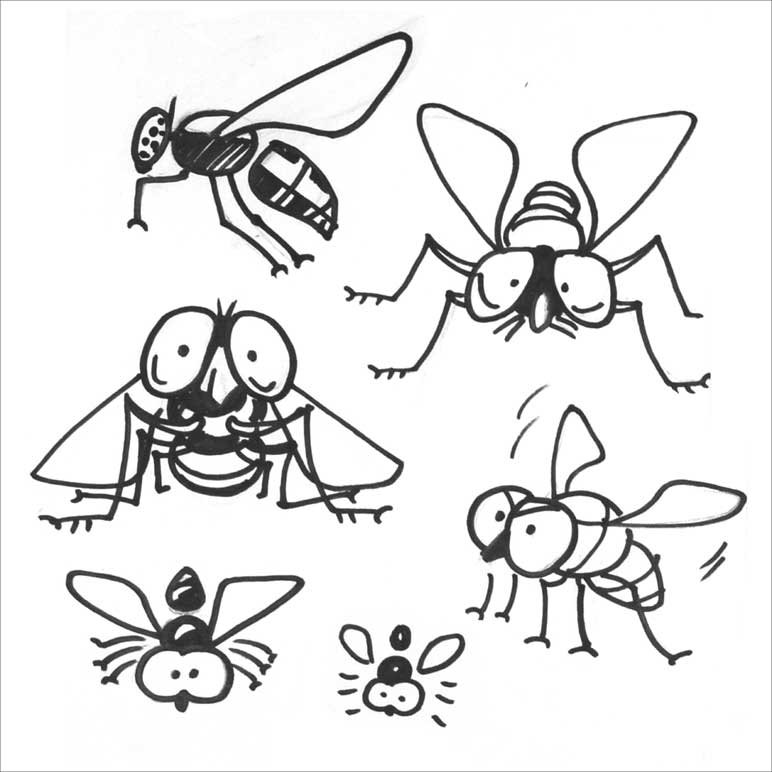 Муха картинка для детей раскраска