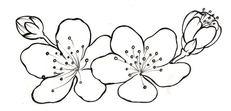 Трафареты цветов для рисования