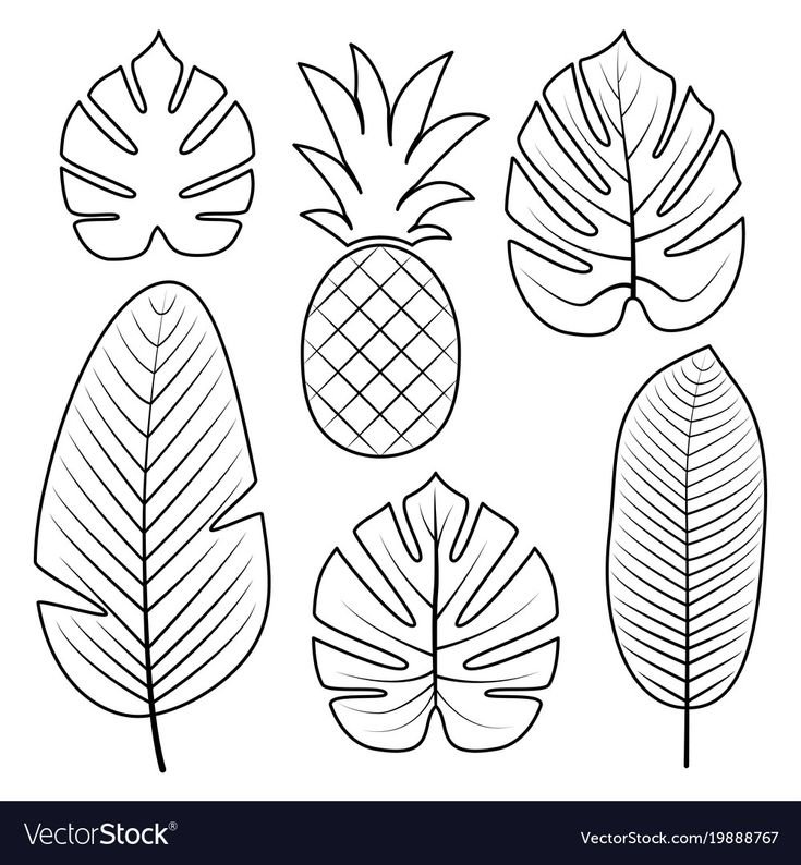 Трафарет тропических листьев и цветов