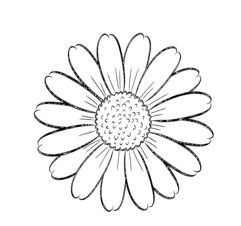 Трафарет ромашки для раскрашивания