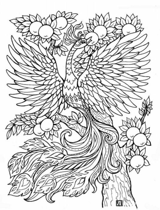 Жар птица раскраска для детей