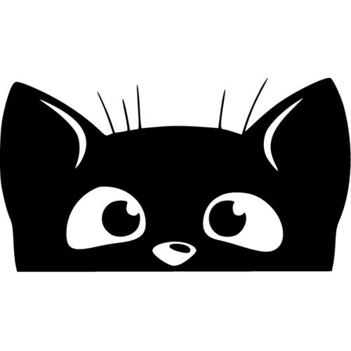 Кошка выглядывает