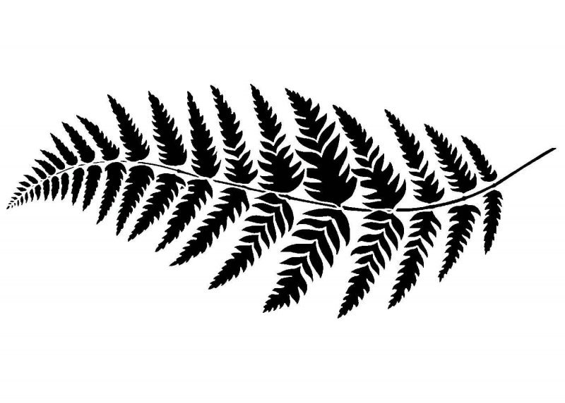 Папоротник узор