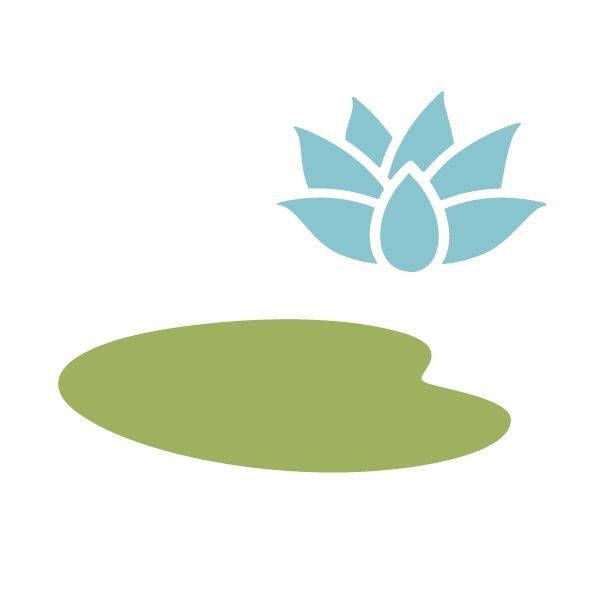 Лист кувшинки трафарет