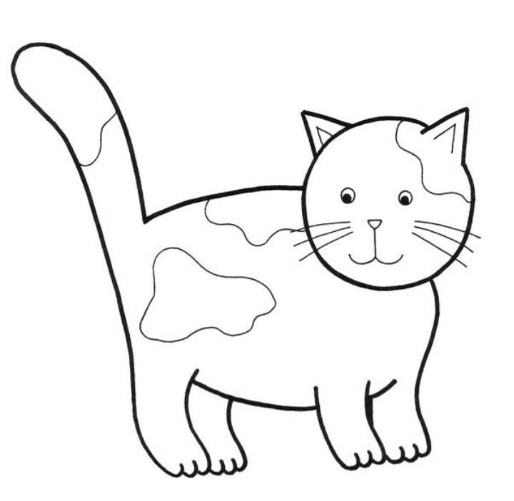 Раскраска кот