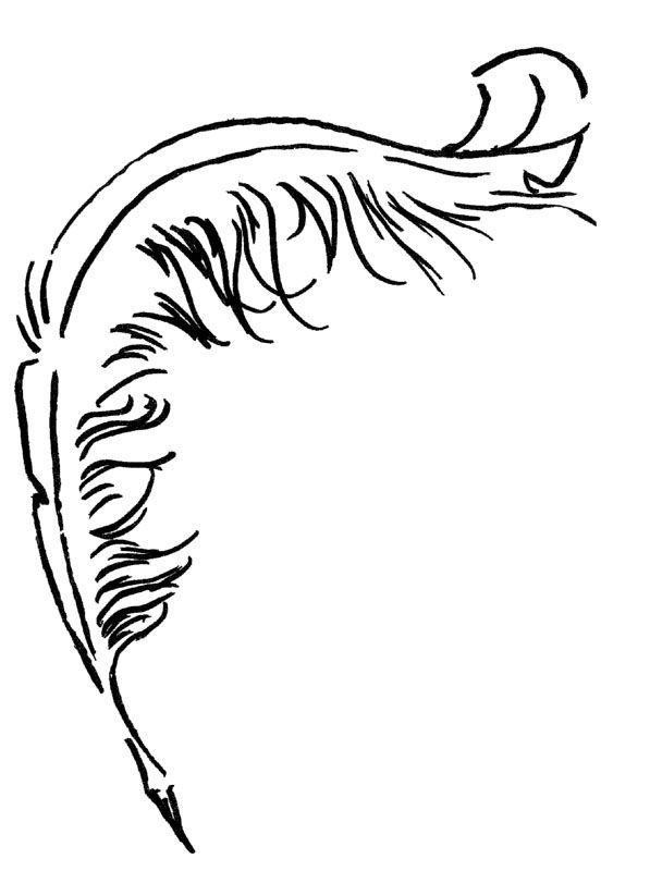 Перо Графика