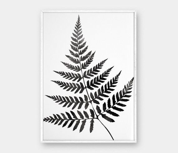 Лист папоротника