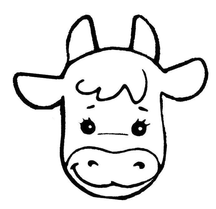 Морда коровы