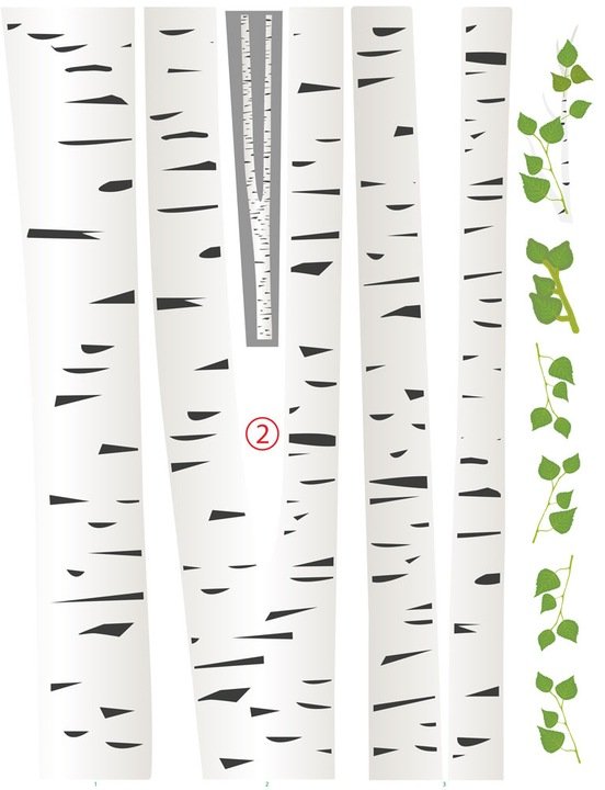 Ствол березы для аппликации