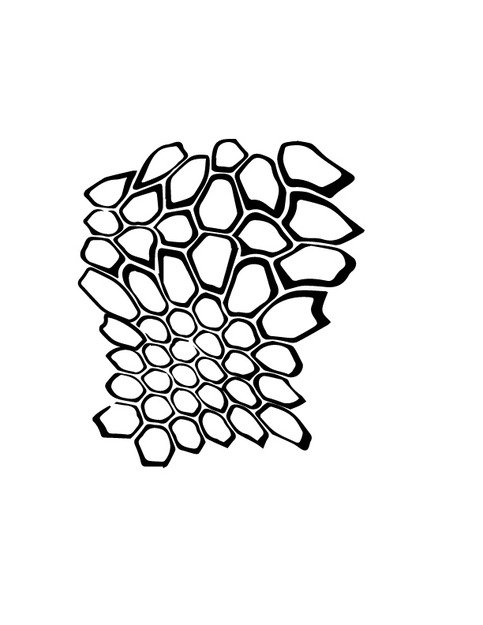 Kryptek вектор