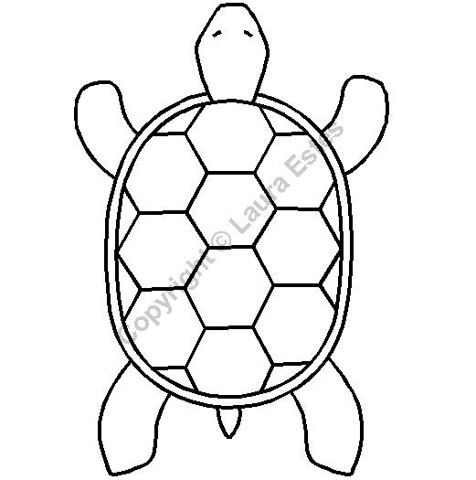 Черепаха раскраска для детей