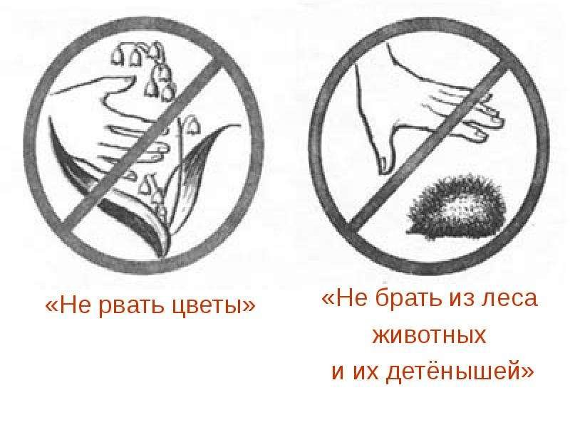 Природоохранные знаки