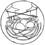 Знаки природы раскраска для детей