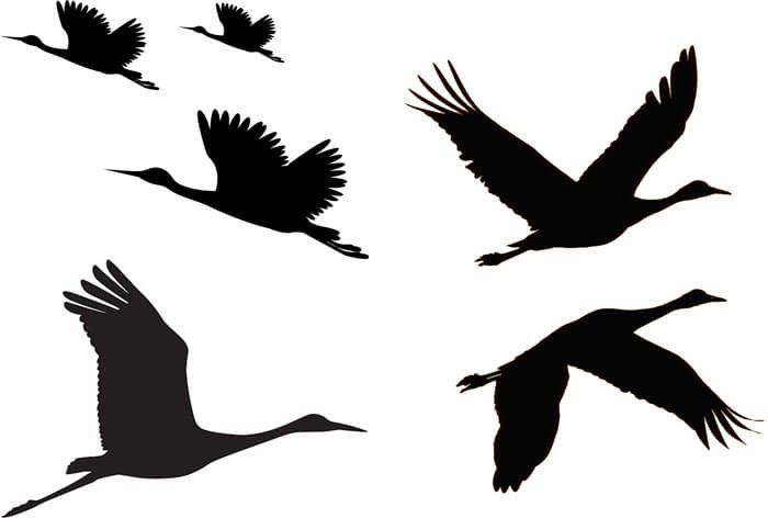 Журавли трафарет