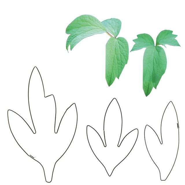 Трафарет листьев цветов