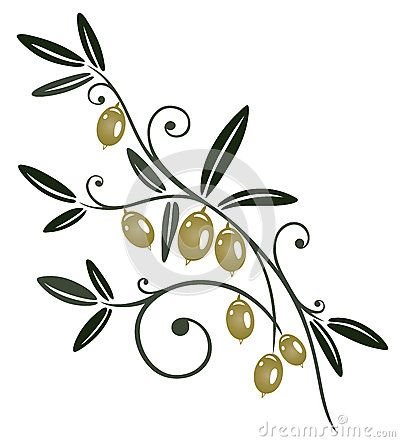 Ветка оливы вектор