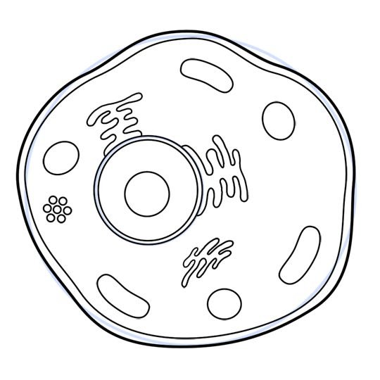 Клетка животного раскраска