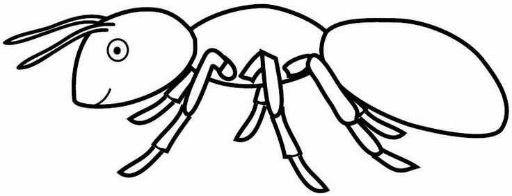 Муравей раскраска для детей