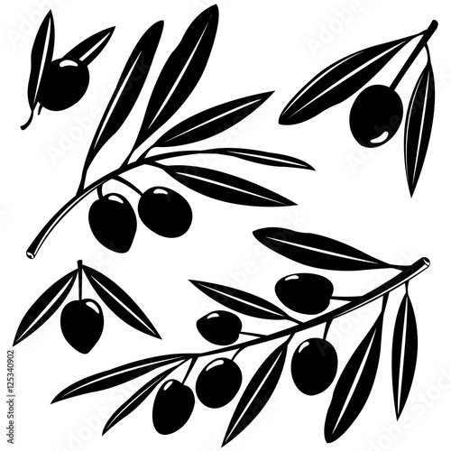 Оливки силуэт
