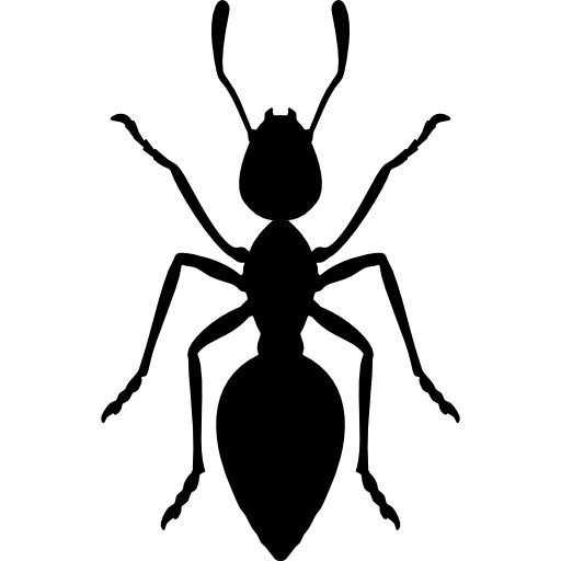 Насекомые контур