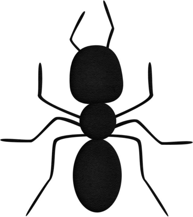 Муравей трафарет