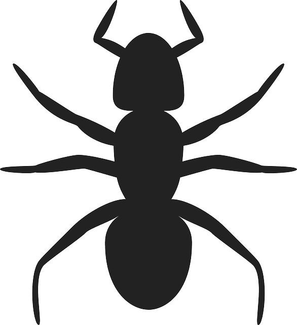 Силуэты насекомых