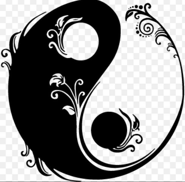 Инь Янь черно белое