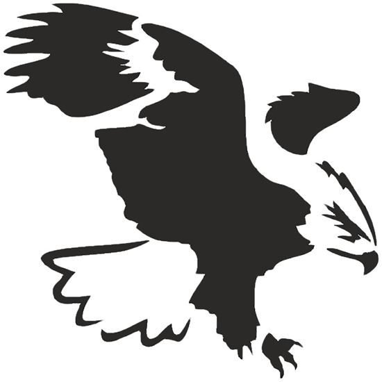 Контурное изображение орла