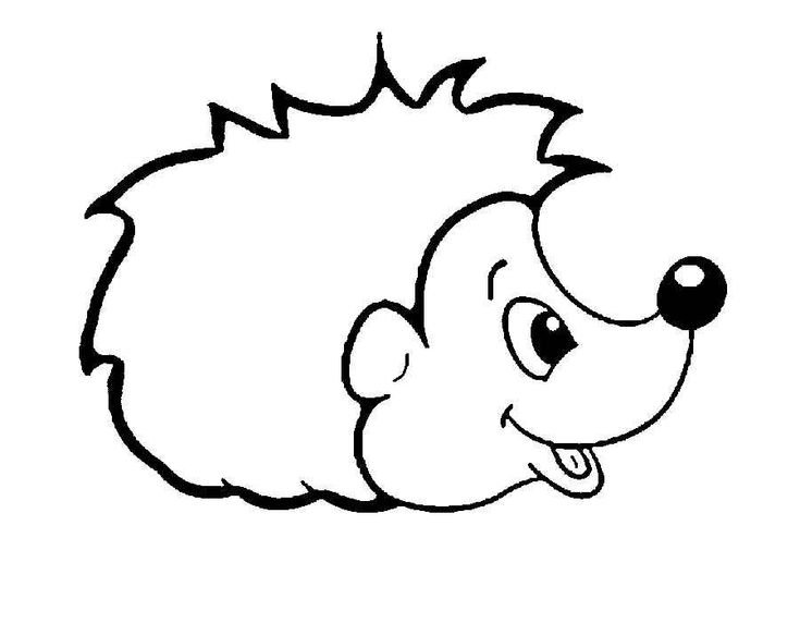 Ёжк раскраска для детей
