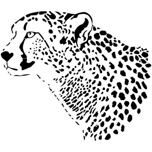 Гепард снежный Барс леопард